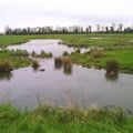 Du côté de Marennes