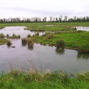 Du côté de Marennes