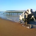 Le serpent de mer