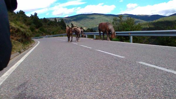 En descendant vers Mollo